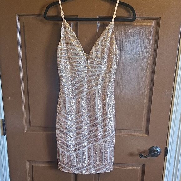Tiger Mist Dresses & Skirts - Tiger Mist-Rose sequin short dress on net fabric with V neck and thin straps SM.